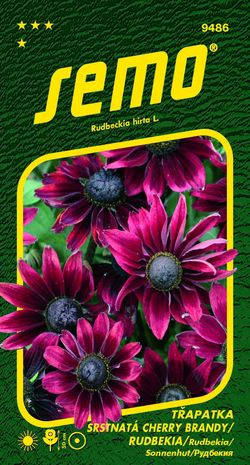 SEMO Třapatka srstnatá (rudbékie) Cherry Brandy
