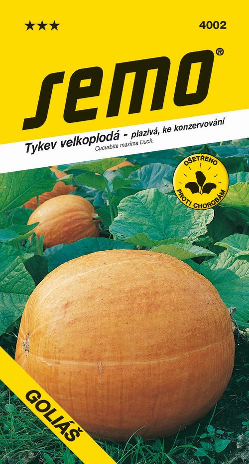 SEMO Tykev GOLIÁŠ