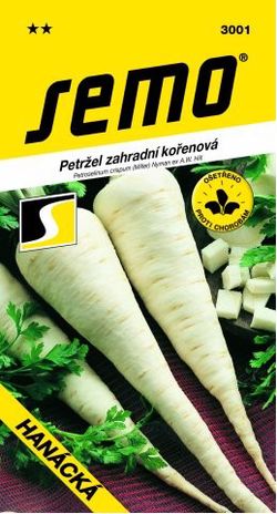 SEMO Petržel kořenová- HANÁCKÁ pozdní