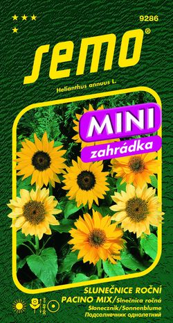 SEMO Slunečnice roční PACINO mix mini