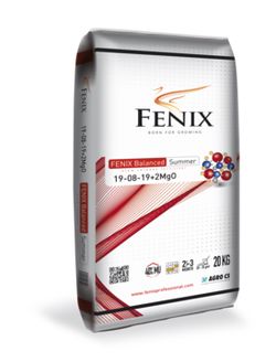 AGRO CS FENIX Balanced Summer 19-08-19+2MgO 20 kg