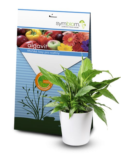 Symbiom Algavit 100g