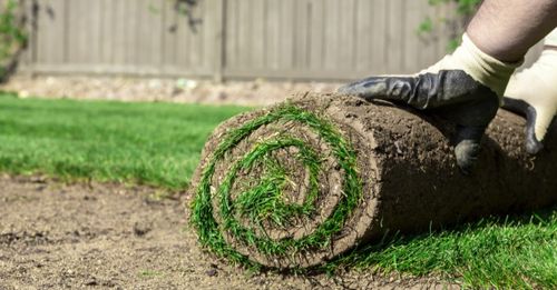 Trávníkové koberce HOLANDSKO 1 - 10 m2