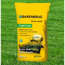 BARENBRUG RESILIENT BLUE Lawn 5 kg