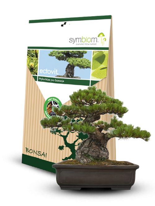 Symbiom Ectovit Bonsai 100g